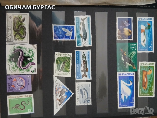 ПРОДАВАМ ПОЩЕНСКИ МАРКИ ОТ 80-те и 90-те години, снимка 6 - Филателия - 53261529