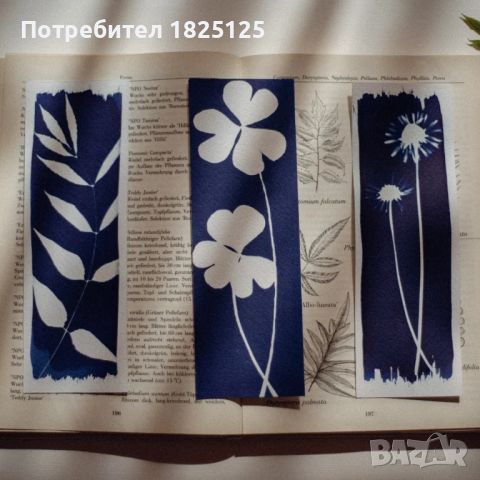 Материали за Цианотипия Cyanotype комплекти, разтвори, вещества, химия, снимка 11 - Декорация за дома - 45163868