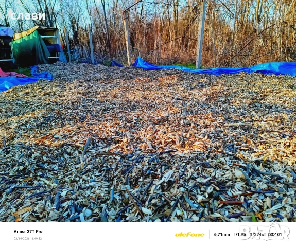 Мулч / Дървесен чипс / 100% Натурален , снимка 14 - Градински цветя и растения - 53591340