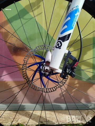 Планински велосипед Koga 29 " XL, снимка 15 - Велосипеди - 53383264