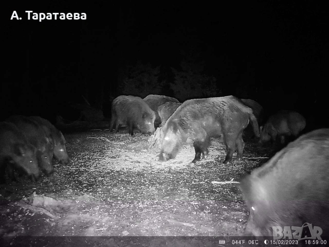 ловни камери, снимка 6 - Екипировка - 53501278