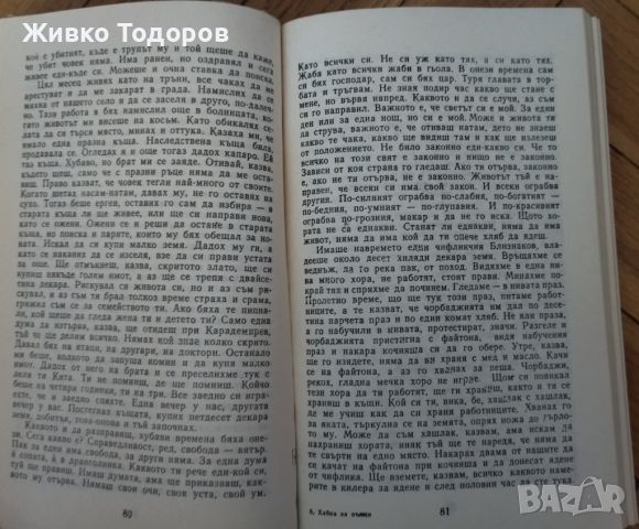 Хайка за вълци - Ивайло Петров, снимка 4 - Художествена литература - 46787030