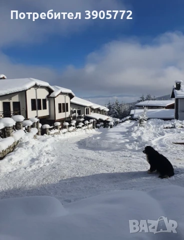 КЪЩА ПОД НАЕМ в ПОЛИТЕ на ПИРИН ПЛАНИНА и на 200 м. от ски пътя, снимка 17 - Къщи - 50733841