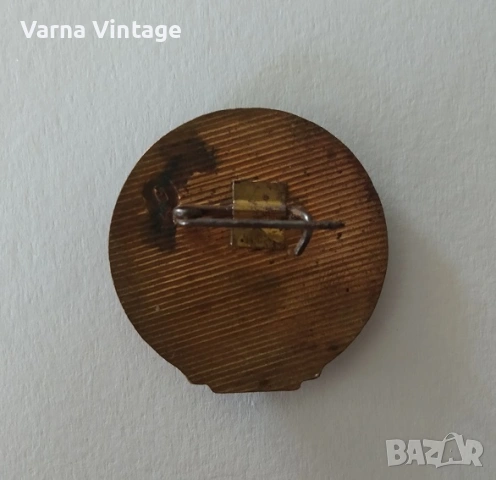 Значка знак Строителен специалист ГУСВ. бронз. емайл., снимка 2 - Колекции - 54038947