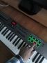Nektar Impact LX61+ MIDI клавиатура / контролер, снимка 7
