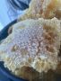 Пчелен мед с пита, снимка 1 - Пчелни продукти - 45635278