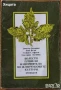 Атлас на горските насекоми;Физиология,генетика на растенията;Болести,плевели и неприятели;Земеделие, снимка 6