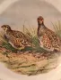 декоративна порцеланова чиния Limoges ловна тематика яребици 25/1, снимка 5