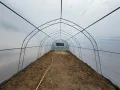 Хоби Оранжерии 4 м ширина тип тунелни, снимка 7