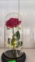 продавам декорации с жив Скандинавски мъх и сапунени рози и други сувенири разпродажба с отстъпки , снимка 4