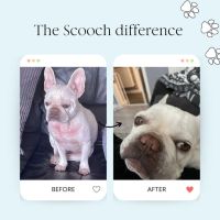 Scooch Добавка за кучета против алергии и сърбеж, фъстъчено масло и аромат на кокос - 60 дъвки, снимка 7 - За кучета - 45424525