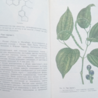 Тропични и субтропични лекарствени растения, снимка 2 - Специализирана литература - 44990836