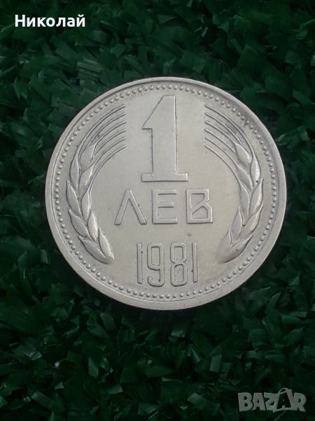 рядката монета от 1 лев 1981г., снимка 1