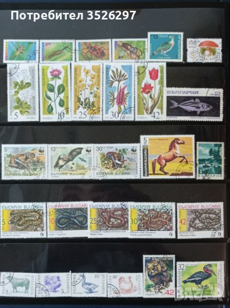 Колекция от пощенски марки на тема Флора и Фауна, снимка 1
