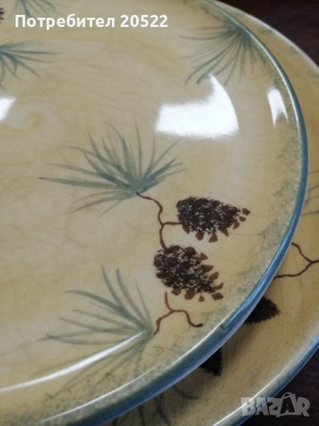 Красиви чинии , снимка 1