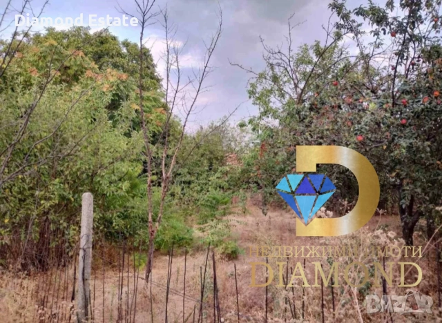 Къща в село Ябълково, общ. Димитровград, снимка 14 - Къщи - 46558038