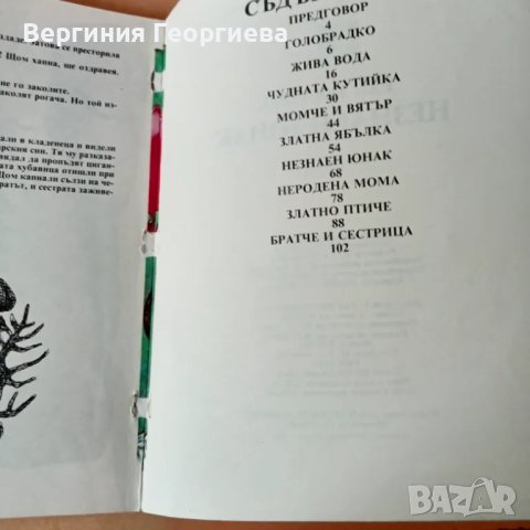 Незнаен юнак - Раб Босилек , снимка 2 - Детски книжки - 46923087