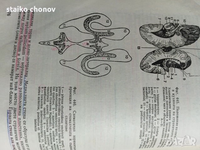 Анатомия на Човека, снимка 3 - Учебници, учебни тетрадки - 52518859