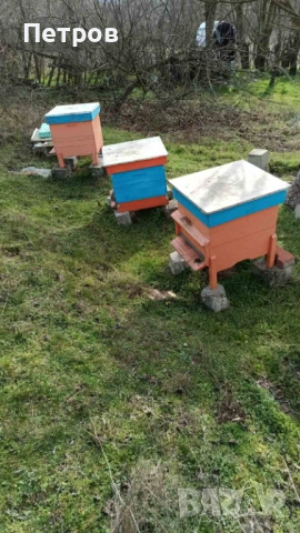 Пчелни кошери Дадан Блат