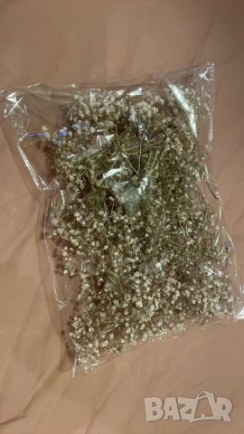 Стръкчета суха естествена гипсофила на пакет, снимка 5 - Изкуствени цветя - 45289550