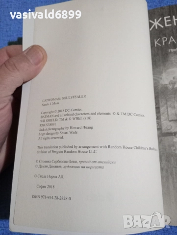 Сара Маас - Жената - котка /Крадец на души/, снимка 5 - Художествена литература - 51928608