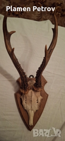 Кулие +гривна и ваза и роги , снимка 12 - Гривни - 27173851