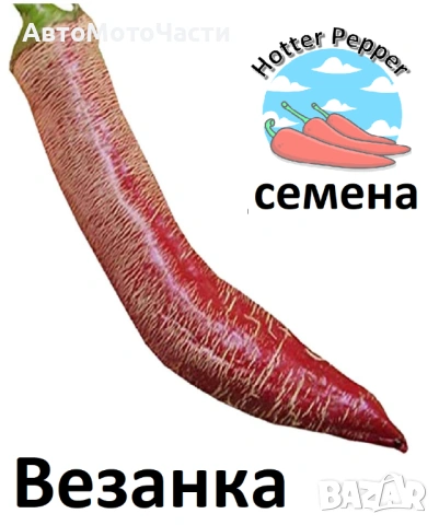 Семена за екзотични люти чушки, снимка 10 - Сортови семена и луковици - 44274579