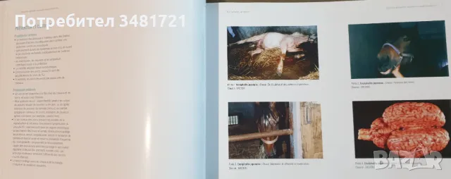 Атлас на болестите по животните / Atlas des Maladies Animales Transfrontalières, снимка 7 - Специализирана литература - 49756394