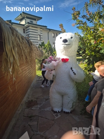 Костюм Бяло Мече 2.60 + батерия , снимка 2 - Други оферти за работа - 51928604