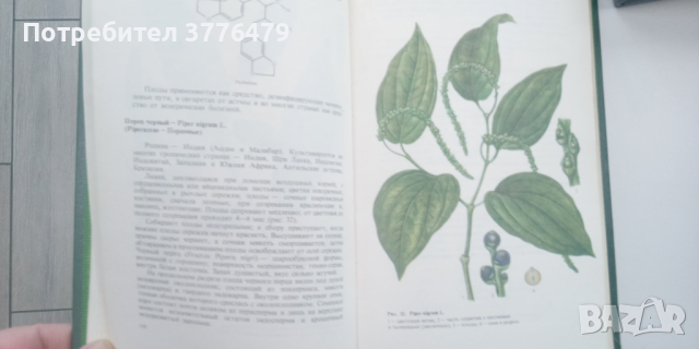 Тропични и субтропични лекарствени растения, снимка 2 - Специализирана литература - 44990836