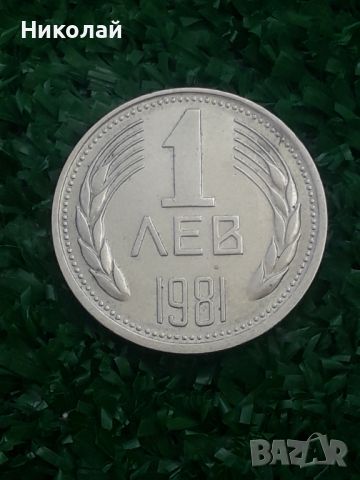 рядката монета от 1 лев 1981г., снимка 1 - Нумизматика и бонистика - 46174543