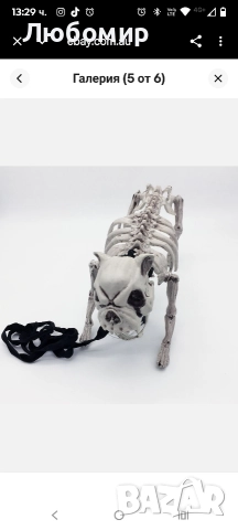 43 см декорация за Хелоуин с куче скелет на каишка , снимка 6 - Декорация за дома - 52637925