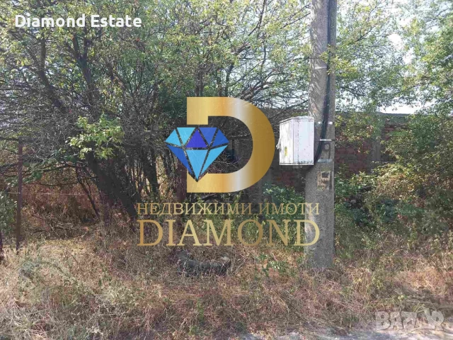 Парцел в село Александрово, обл. Хасково, снимка 3 - Парцели - 50937019