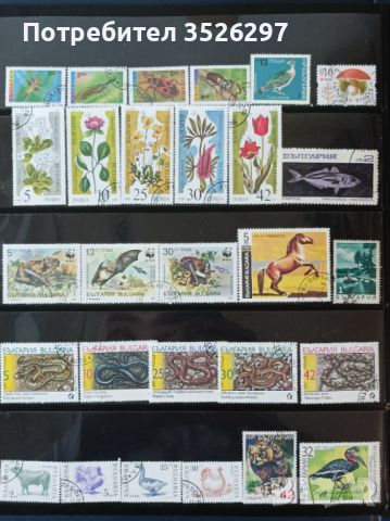 Колекция от пощенски марки на тема Флора и Фауна, снимка 1 - Филателия - 45510261