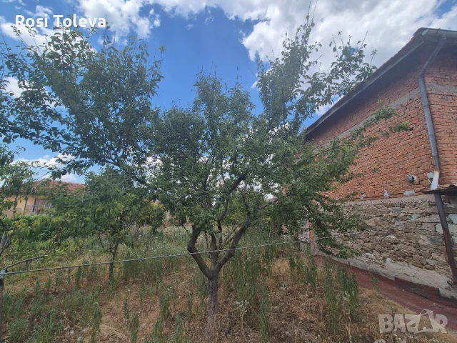 Къща с дворно място в с.Бисер, снимка 11 - Къщи - 51000115