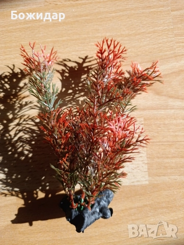 Подарявам глинена декорация -корен, снимка 3 - Оборудване за аквариуми - 52590362