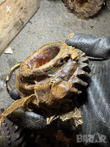 ЗЪБНО КОЛЕЛО 2-ТА СКОРОСТ КПП ГАЗ 24 ВОЛГА 24 НОВ СССР 24-1701127-01, снимка 2 - Части - 51959685