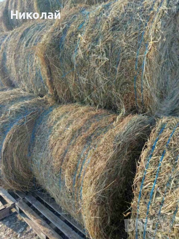 Продавам ролонни бали сено с люцерна, снимка 1