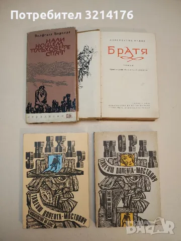 Братя - Константин Федин, снимка 2 - Художествена литература - 50241897