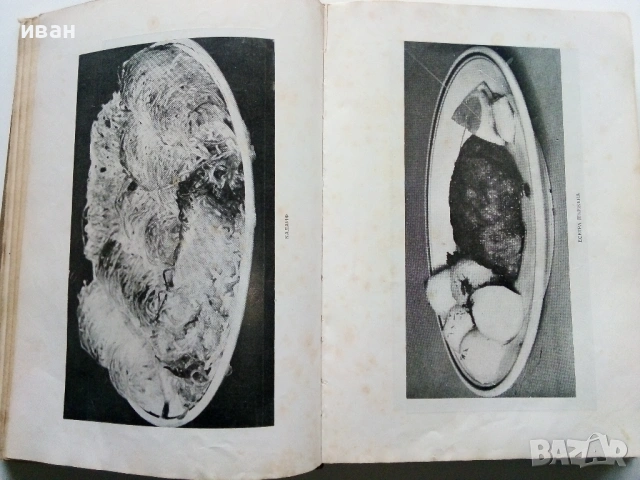 Книга за Домакинята - 1956г., снимка 5 - Енциклопедии, справочници - 53044187