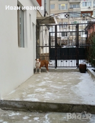 Етаж от къща в Суха река гр София , снимка 12 - Етаж от къща - 52627207