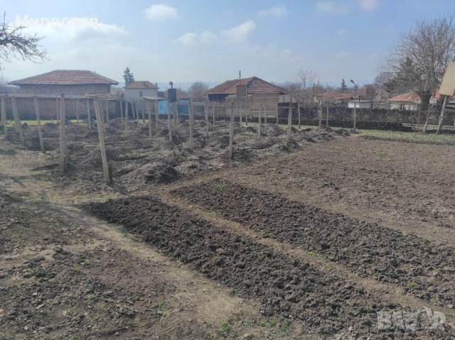 Къща в с. Водолей област В. Търново, снимка 3 - Къщи - 53848523