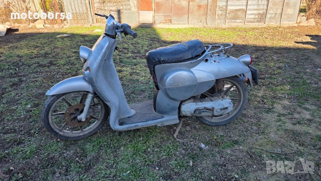 Benelli Pepe 50 2t