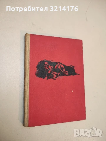 Развигорци - Недялка Каралиева, снимка 2 - Художествена литература - 50985828