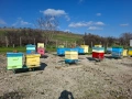 Продавам пчелни семейства, снимка 3