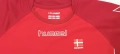 Футболна тениска фланелка на Дания Denmark Hummel RN NO. 104932 датски национален отбор размер S, снимка 6