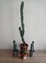 Голям кактус Cereus и три малки кактуса