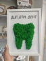 Подарък за зъболекар , снимка 1