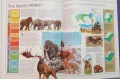 Атлас на праисторическия живот / Rand McNally Picture Atlas of Prehistoric Life, снимка 7