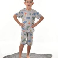 детска пижама , снимка 1 - Детски пижами - 45438909